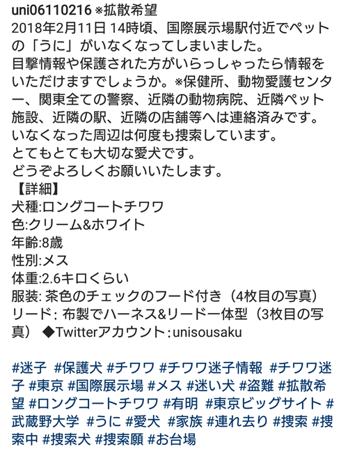拡散希望 迷い犬 ウニちゃん を探しています こころのあったかdays 拡散希望 迷い犬 ウニちゃん を探しています こころのあったかdays