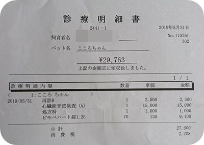 こころ1566