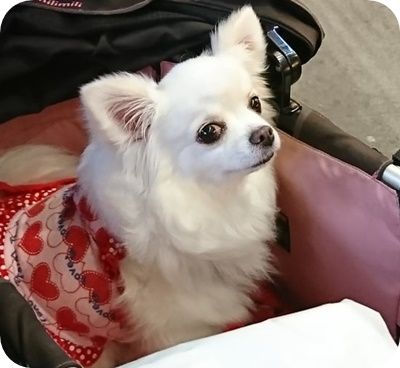 こころ1562