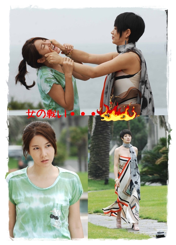 白い森から・・夢日記	  女の戦いも・・・激しそう(^^;	コメント                        mippu