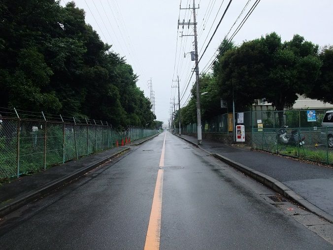 海老名 とんかつ かねひで 我は偏食を愛す 海老名 とんかつ かねひで 我は偏食を愛す