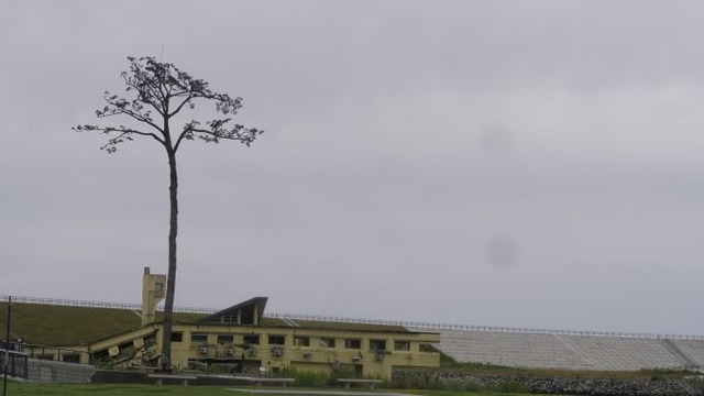 P1055647