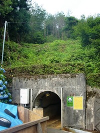 iwami (4)