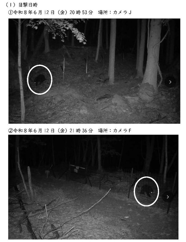 20260615_自然の村での熊の目撃について_ページ_1