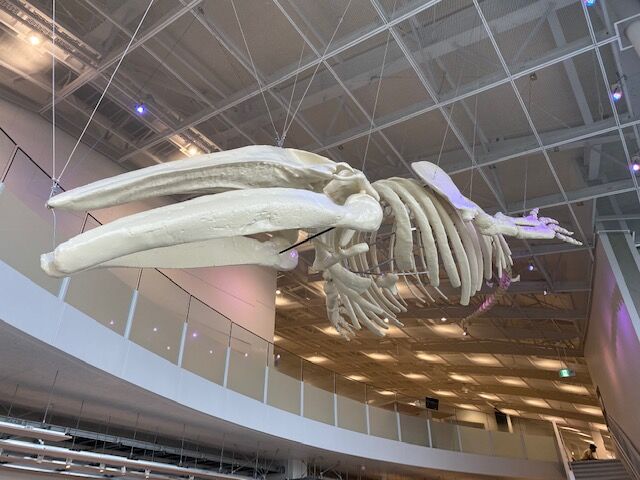 図書館と個人情報 アキシマエンシス視察で考え方たこと（1