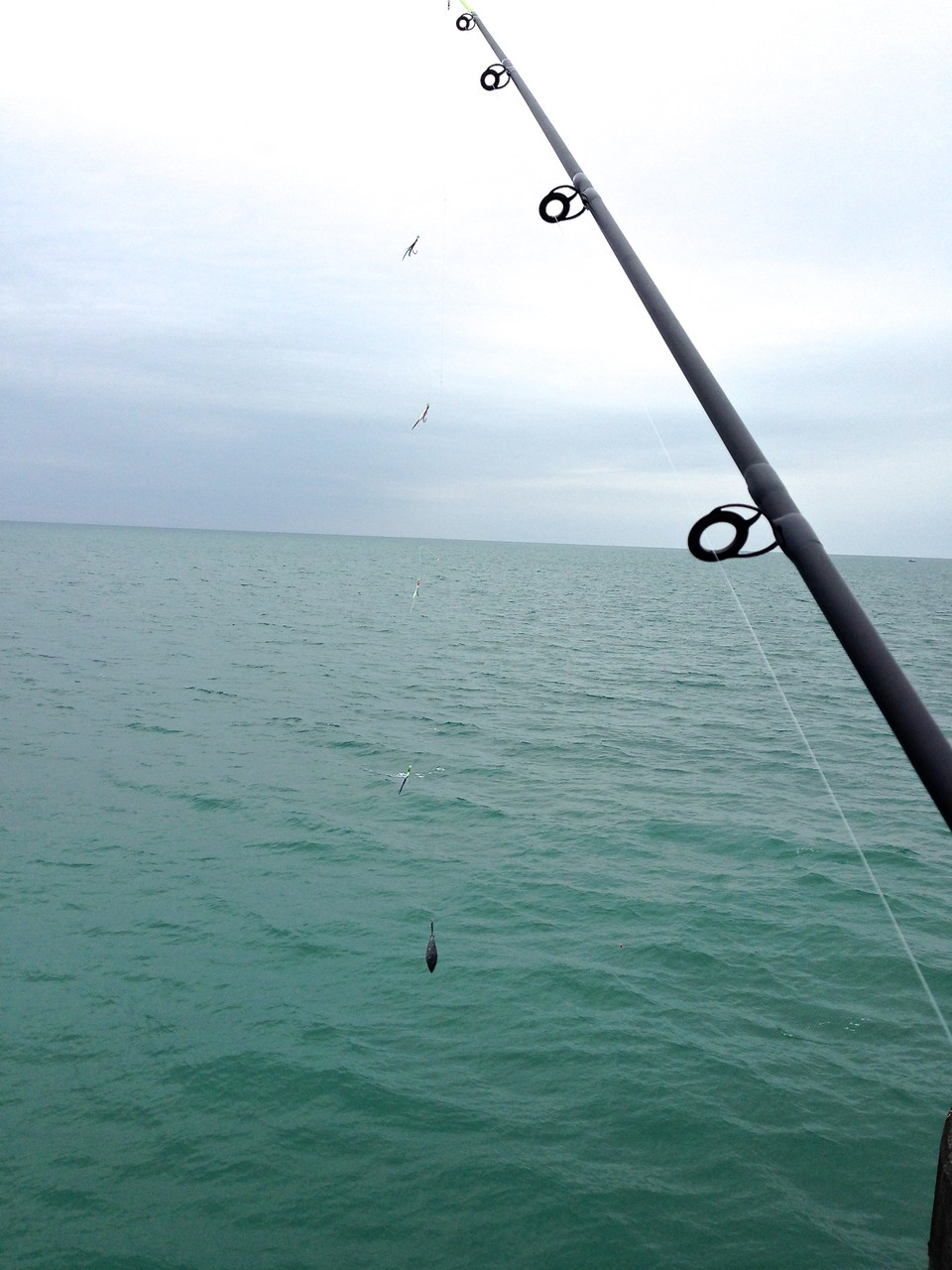 イギリスで釣りデビュー ニューヨーク 今んところブルックリン派です