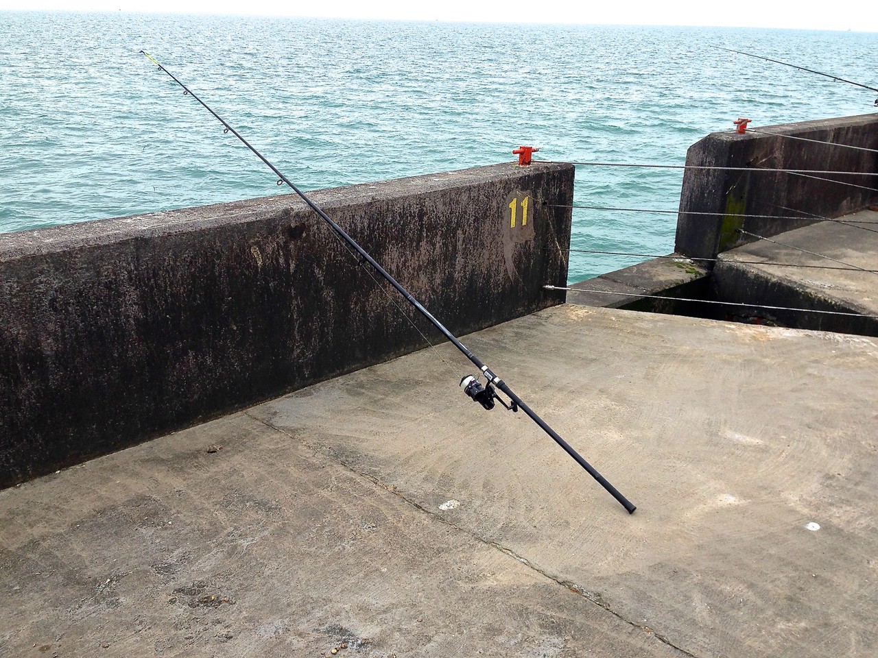 イギリスで釣りデビュー ニューヨーク 今んところブルックリン派です