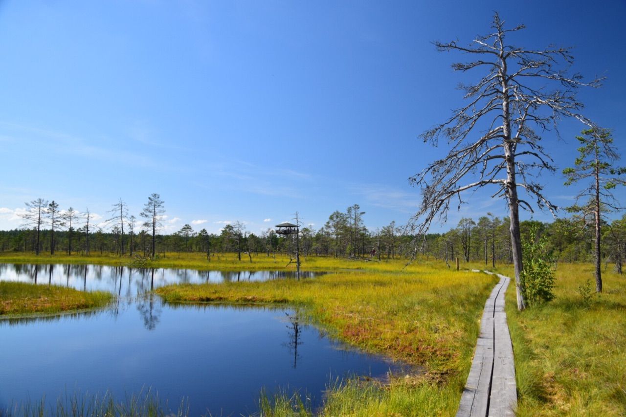 エストニアの自然 ラヘマー国立公園 世界で学べ 青空教室 エストニアの自然 ラヘマー国立公園 世界で学べ 青空教室