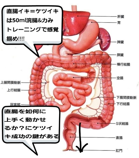 24-03-20-10-02-23-827_deco