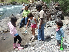 Picture1 006