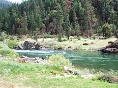 Picture1 018