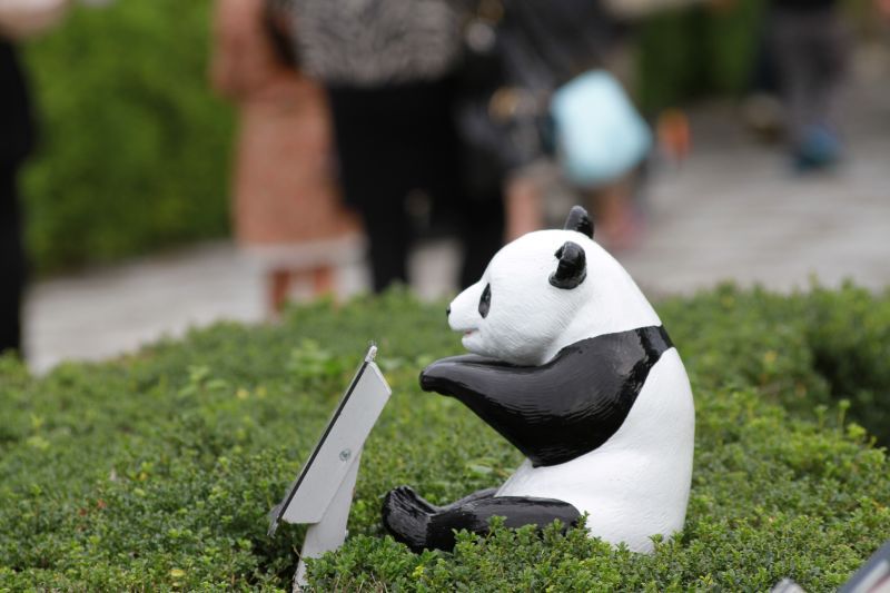 動物写真 パンダパート チラ裏ブログ 薬代龍道の日常