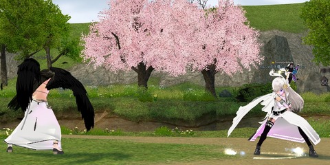 刹那の見切り２