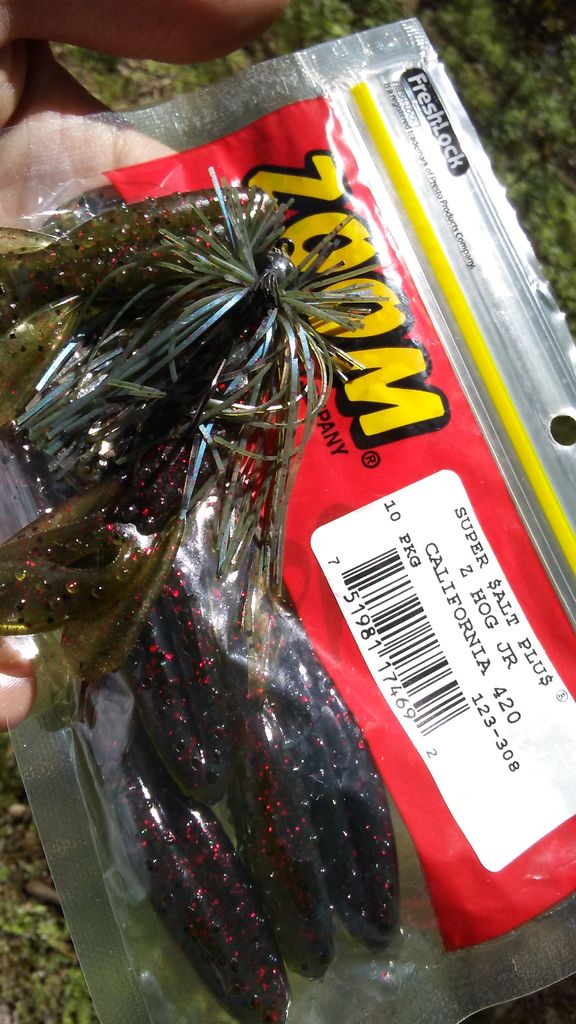 ワーム大量 楽天市場】【全11色】 一誠 (イッセイ) issei 沈み蟲 3.2in