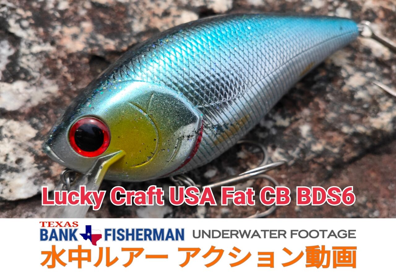 Lucky Craft Usa Big Duddy Strike s6 水中ルアーアクション動画 The Die Is Cast Lucky Craft Usa Big Duddy Strike s6 水中ルアーアクション動画 The Die Is Cast