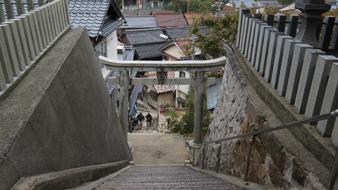 DSC00960