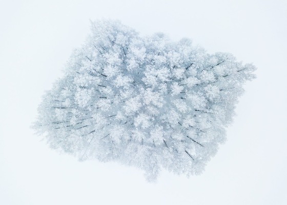 26854991_1386281998143492_522949518_o