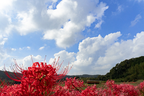 M3_00457_180924_FHD100P