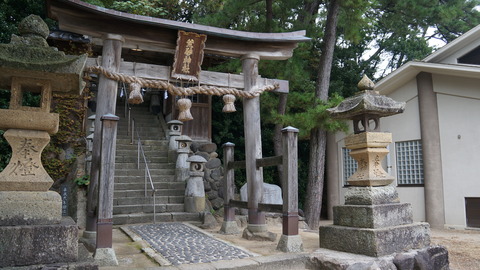 DSC00914