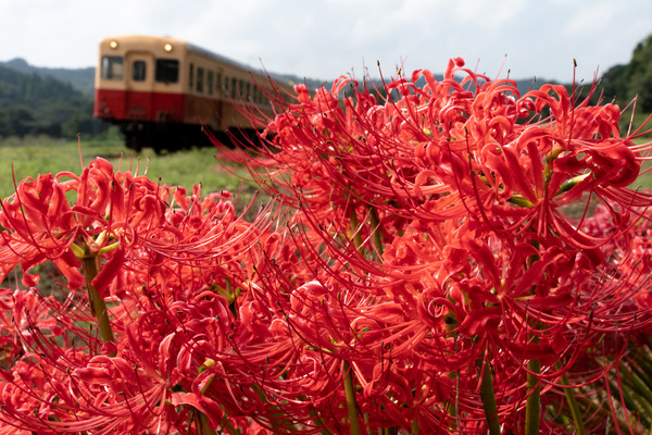 M3_00415_180924_FHD100P