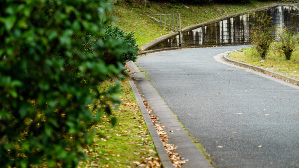 2_03zd_DSC06967_161106