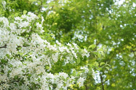 DSC03997