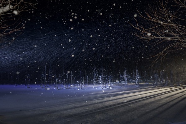 26239830_1240005666101081_4589710920363113918_n