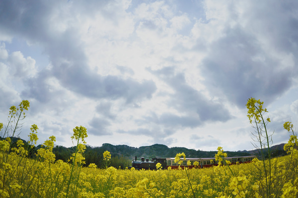 _R3_6551_180401_01_4K