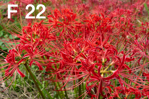 M3_00401_180924_FHD100P_f220