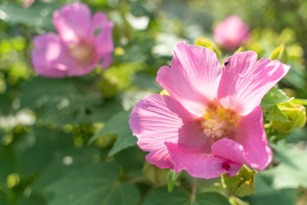 M3_00470_180924_FHD100P