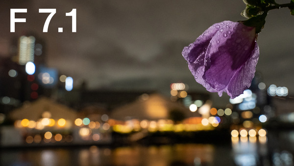 M3_09549_180921_FHD100P_f071