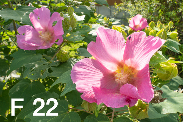 M3_00478_180924_FHD100P_f220