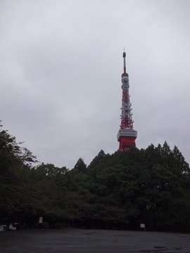 12d
