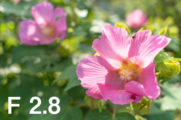 M3_00470_180924_FHD100P_f028