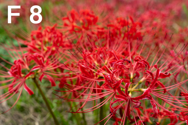 M3_00399_180924_FHD100P_f080