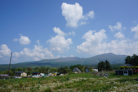 DSC03987