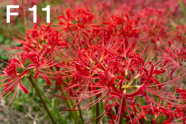 M3_00400_180924_FHD100P_f110