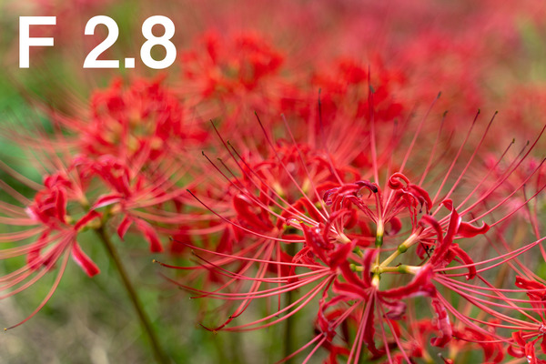 M3_00395_180924_FHD100P_f028