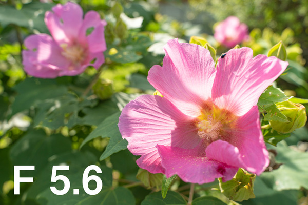 M3_00473_180924_FHD100P_f056