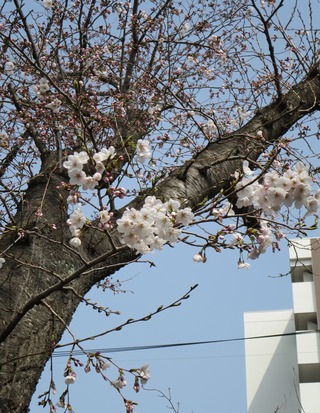 IMG_7022 (3)