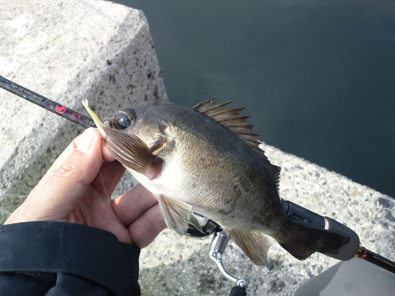 デイメバリング なかなか充実のdaygame 西中国の沢と海