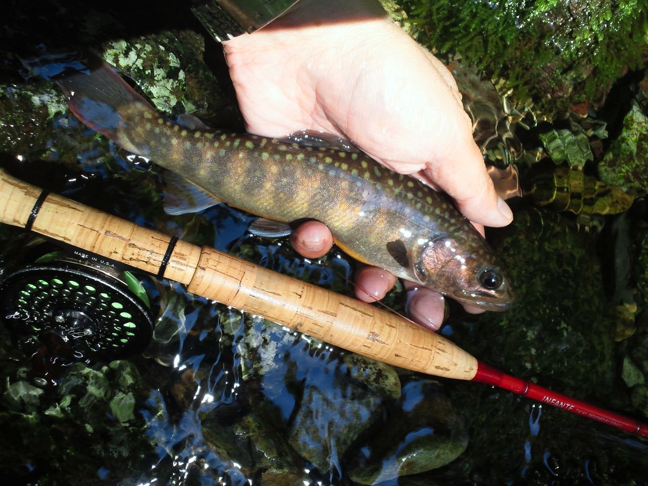 ティムコ　インファンテ　7'0\"#4 6ピース　バックパッカー ティムコ インファンテ 7'0