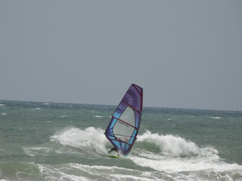 DSCN0798