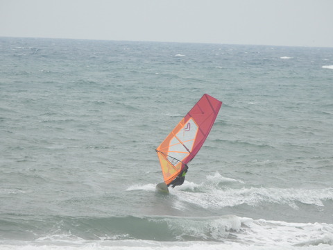 DSCN0849