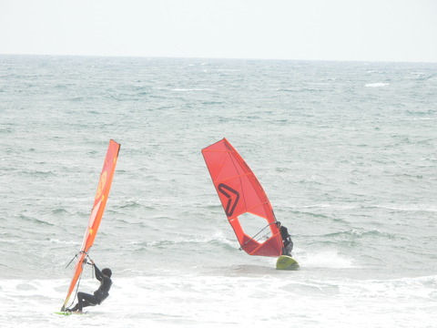 DSCN0873