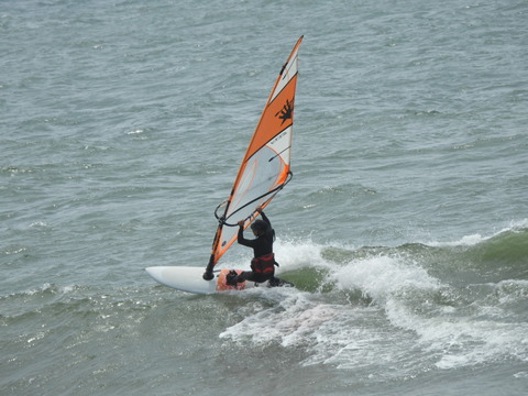 DSCN1311