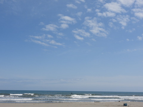 DSCN0713