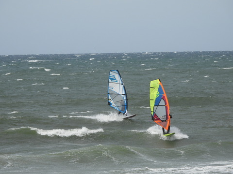 DSCN1212