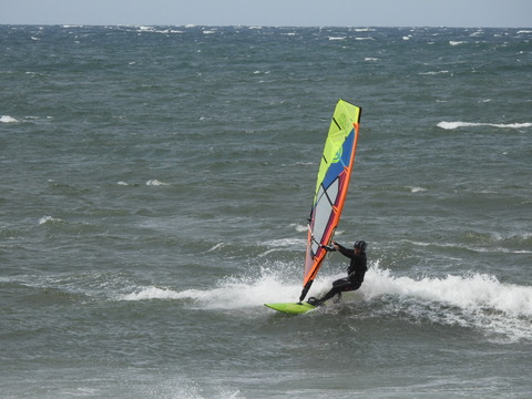 DSCN1264