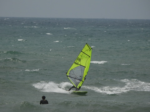 DSCN0737